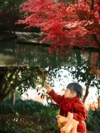 上海這裡的楓葉已經next level！附打卡路線