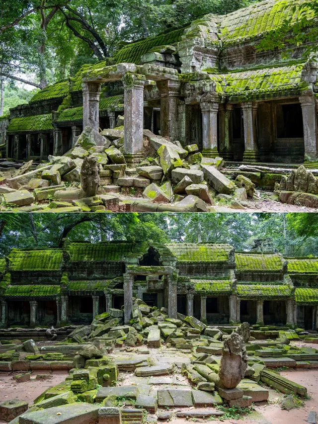 塔布隆寺|古墓奇兵取景地,異星球神樹奇觀 塔布隆寺|古墓奇兵取景地,異星球神樹奇觀