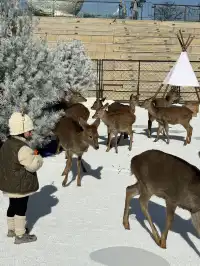 小來黃島嘉年華海信廣場啦~