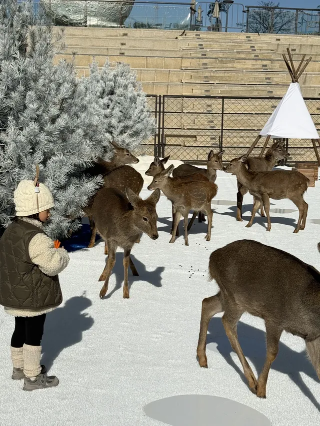 小來黃島嘉年華海信廣場啦~ 小來黃島嘉年華海信廣場啦~