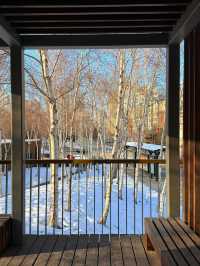 哈爾濱冬日小眾秘境·多圖暴擊預警