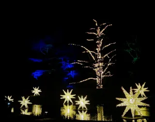 Is this entering a winter wonderland?