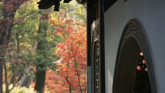 紅葉〡12.7古猗園的橙紅美景
