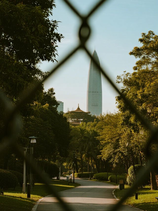 冬日暖陽下的城市綠洲|藏在市中心的遛娃寶藏地 冬日暖陽下的城市綠洲|藏在市中心的遛娃寶藏地