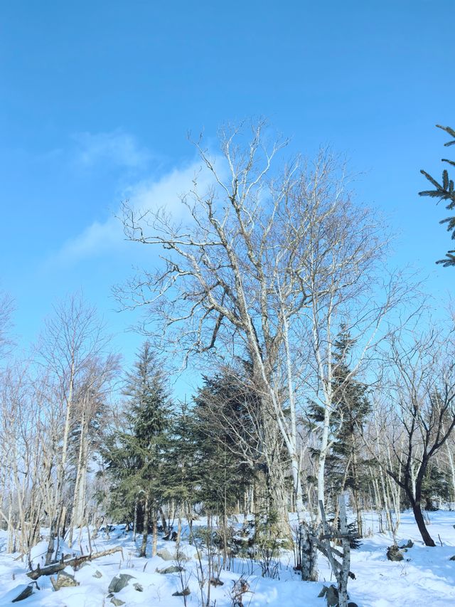 北大湖開板 北大湖開板