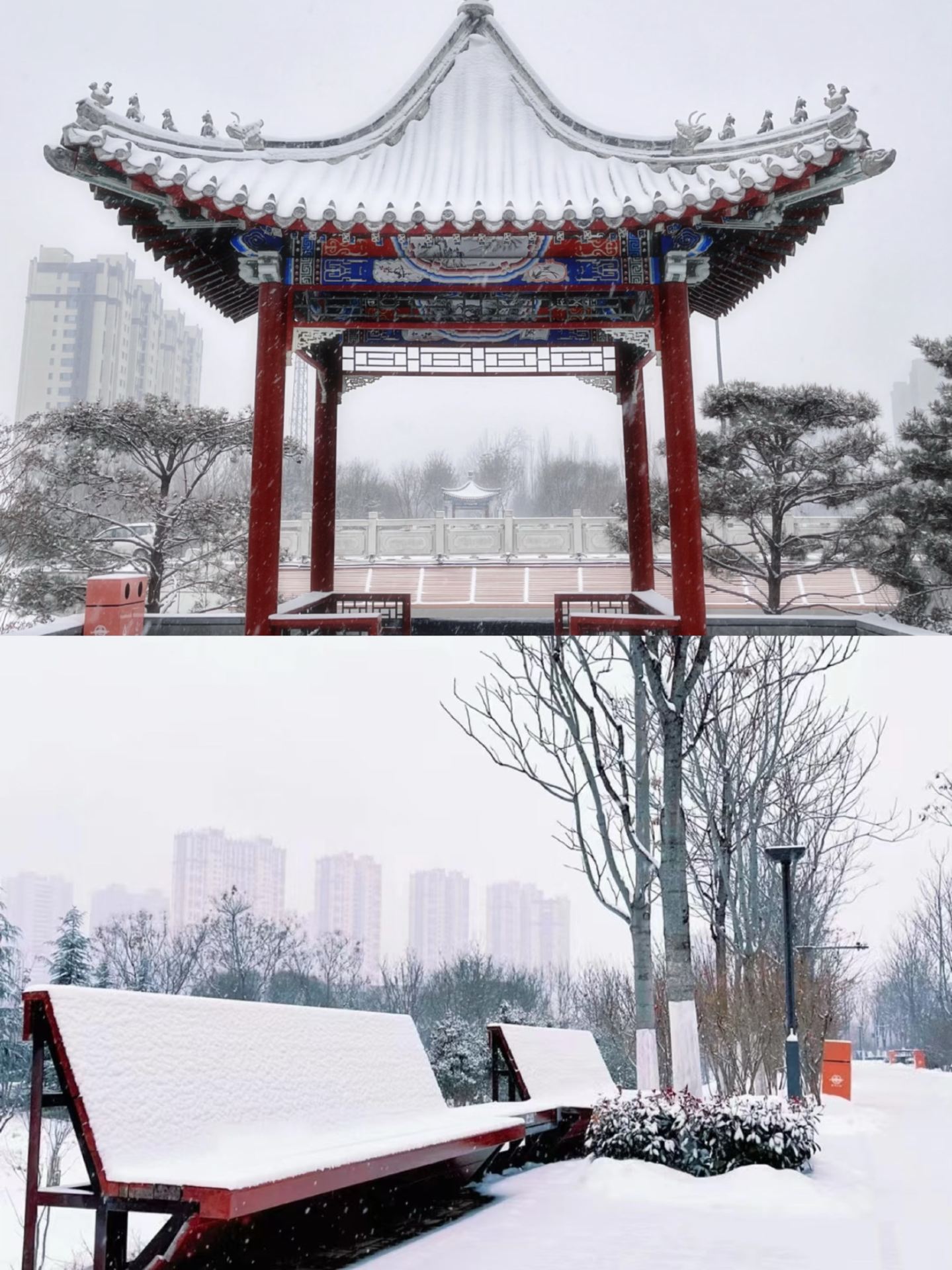방금 하저에서 돌아왔는데 12월에는 정말 가지 말라고 하고 싶어요