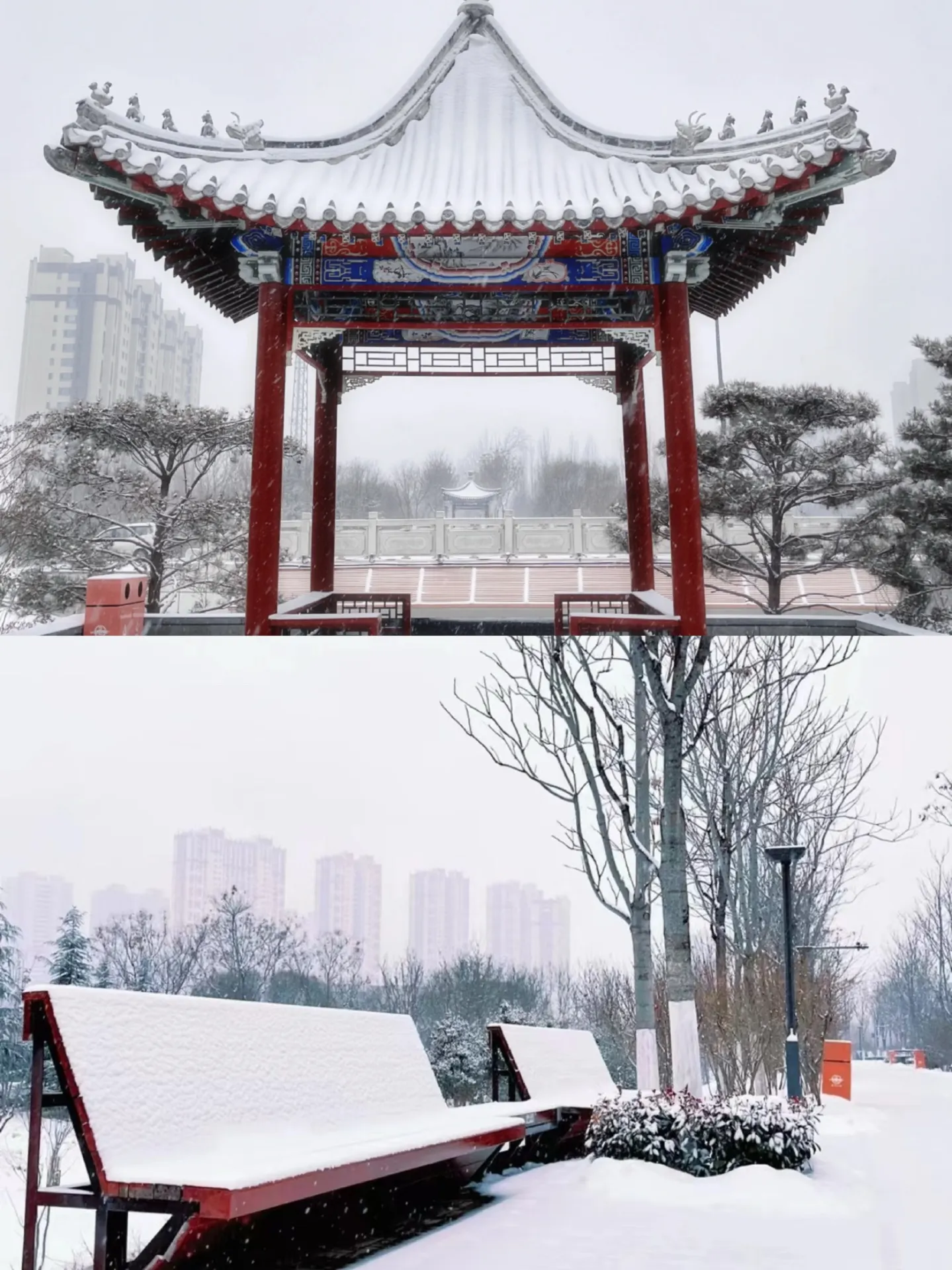방금 하저에서 돌아왔는데 12월에는 정말 가지 말라고 하고 싶어요
