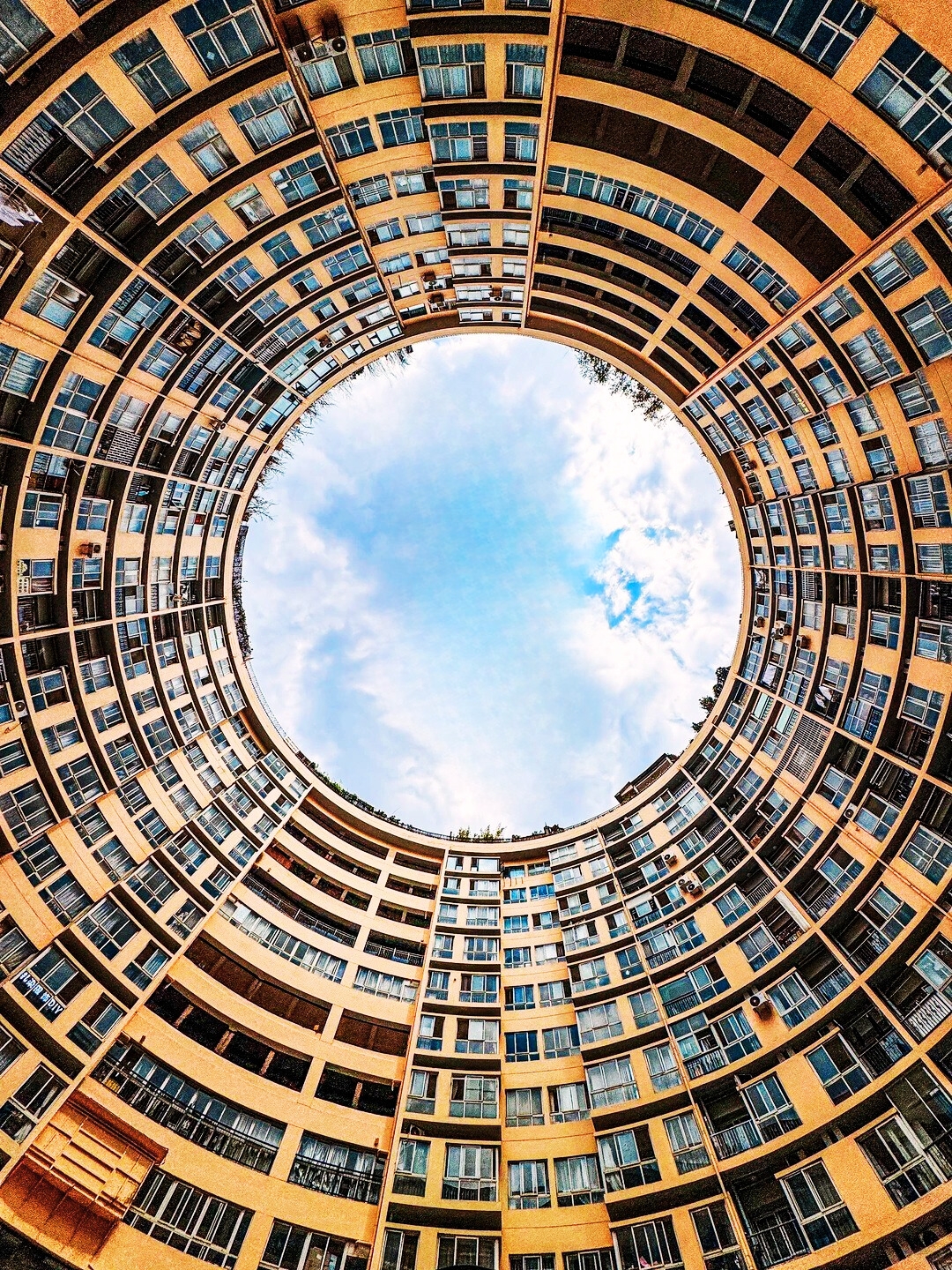 If you only have one day in Kunming this winter, don’t worry! Follow my personally tested route to check in for free at the city’s highlights in one day, meet the Siberian spirits, and capture all the romance of the Spring City. The route is optimized and ready to copy and go!

🗺️ Efficient One-Day Tour Routes (Two options for you to choose)

Option A: Classic Full Walk (for the physically strong)
Morning (Cultural Citywalk):
8:30 Cuihu Park → 9:30 Former Site of the Army Military Academy (closed on Mondays) → 10:30 Huanggongdong Street → 11:00 Break at Abnormal Café → 11:30 Kunming Old Street / Duiyuelou
【Logic】 These spots are close to each other and can be walked throughout. Early morning at Cuihu has fewer people and more seagulls, the Military Academy offers a historical feel, shoot artsy photos in front of the yellow walls, and finally soak in the lively atmosphere at the old street.

Afternoon (Nature and Flower Market):
13:00 Taxi to Dounan Flower Market (about 40 minutes) → 15:00 Taxi to Haigeng Dam (about 30 minutes) → 16:30 Walk to Haihong Wetland Park (adjacent) to watch the sunset and flying seagulls
【Logic】 Afternoon to evening is the best light and the most active seagull time. The flower market, dam, and wetland park are all along Dianchi Lake, so it’s a smooth route without backtracking.

Option B: Leisurely Highlights Pick One (recommended for first-timers)
Route: Cuihu area (Military Academy + Yellow Wall + Old Street) or Dianchi area (Dounan Flower Market + Haigeng Dam) + Aocheng Building.
【Suggestion】 If you prefer cultural street photography, choose the Cuihu line; if you come for seagulls and flowers, choose the Dianchi line. Aocheng Building is in the city center and can be visited flexibly. Trying to cover both areas in one day is tiring; focusing on one area is better.

📍 Core Free Attractions Info & Tips

1. Cuihu Park & Haigeng Dam & Haihong Wetland Park (choose one for seagull watching)
 ◦ Differences: Cuihu is in the city, convenient but fewer seagulls, with a relaxed atmosphere. Haigeng Dam offers wide views and the most spectacular seagull gatherings, a classic check-in spot. Haihong Wetland has an excellent sunset vibe and can be combined with a water forest visit.

 ◦ Best time: Morning (9-11 am) or afternoon (4-6 pm), when seagulls are active and light is soft.

 ◦ Interaction tips: Prepare seagull food (eat less bread), hold out your hand or raise it above your head, wait for them to peck precisely, and use burst mode for easy great shots.

2. Aocheng Building (Instagrammable architecture)
 ◦ Spot: Take the elevator in Building A to the 6th floor to reach the circular platform. Use your phone’s wide-angle mode to shoot upward for a sci-fi “Sky Eye” effect.

 ◦ Tips: Keep quiet as it’s a residential building. A 15-minute stay is enough.

3. Huanggongdong Street & Duiyuelou (street photography gems)
 ◦ How to play: The yellow walls and green chairs on Huanggongdong Street make a vintage artsy backdrop; Duiyuelou (Cup-shaped Building) with its curved architecture is called the “most beautiful corner,” perfect for fashion street shots.

 ◦ Route: They are close and can be strolled together with Kunming Old Street (a food hub).

4. Dounan Flower Market (Asia’s Flower Capital)
 ◦ Time: Recommended to visit in the afternoon when retail trading is active. The night market (after 8 pm) is wholesale-focused, lively but less retail.

 ◦ Experience: Even if you don’t buy, walking through the sea of flowers is extremely romantic. Mailing flowers is very convenient.

5. Former Site of the Army Military Academy (historical landmark)
 ◦ Highlights: A famous modern Chinese military academy, the yellow exterior is solemn for photos, and the interior exhibits quickly introduce Yunnan’s modern history.

 ◦ Note: Closed on Mondays, free but requires ticket reservation via QR code at the entrance.

💡 Tested Practical Tips (Pitfall Avoidance Guide)

1. Transportation: City attractions are dense; walking + shared e-scooters are best. For Dianchi area (Dounan, Haigeng), take a taxi or subway to save time and energy.
2. Seagull safety: Seagulls pecking can scratch; don’t be overly nervous but avoid touching them. Watch your belongings.
3. Clothing & sun protection: Kunming is cold in the morning and evening but warm at noon in winter. Layering + windproof jacket is standard. Sunglasses, hats, and sunscreen are essential; the high-altitude UV is strong.
4. Food hubs: Kunming Old Street (Guanghua Street, Yongdao Street area), Wenlin Street, and Nanqiang alleys are food clusters. Try crossing-the-bridge rice noodles, tofu flower rice noodles, grilled milk fan, and flower cakes.
5. Time management: If you only have one day, get up early! Sleeping in means missing the best light and relatively quiet spots.

🍜 Food Quick Guide (Follow this to avoid mistakes)

• Breakfast: Find a local queue and have a bowl of small pot rice noodles or tofu flower rice noodles.

• Lunch: Near the old street, wild mushroom hotpot (frozen mushrooms in winter) or traditional crossing-the-bridge rice noodles are ceremonial choices.

• Snacks: Grilled milk fan (rich milky flavor), Guandu baba (crispy), freshly baked flower cakes (best hot) to eat on the go.

• Dinner: If time allows, find a Yunnan restaurant to try steam pot chicken and old-style potatoes.

Winter in Kunming is an unexpected encounter with sunshine, seagulls, and flowers. Even with just one day, it will give you its gentlest and most romantic side without reservation. Keep this guide and head to the Spring City for a healing winter!