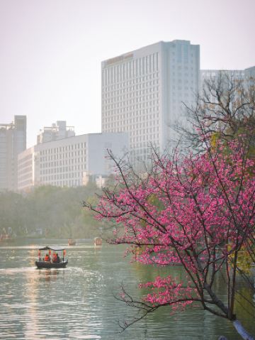 เหอเฟย ฝูจวง | ภาพวาดหมึก Jiangnan ที่ซ่อนอยู่ในเมือง