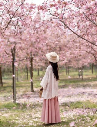 คู่มือการท่องเที่ยวเสิ่นหยาง: พักที่โรงแรมที่เดินทางสะดวกด้วยรถไฟใต้ดิน แล้วไปเที่ยวชมย่านเซิงจิงกัน!