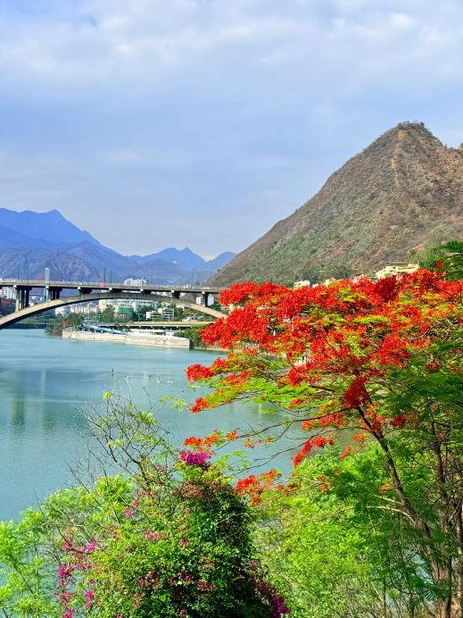 Panzhihua: A Small May Town Ignited by Flame Trees, a Summer