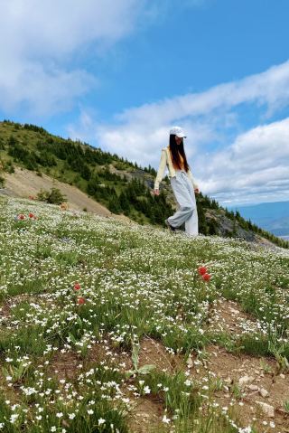 私はバンクーバー周辺で最も美しい高山の花畑に出会いました