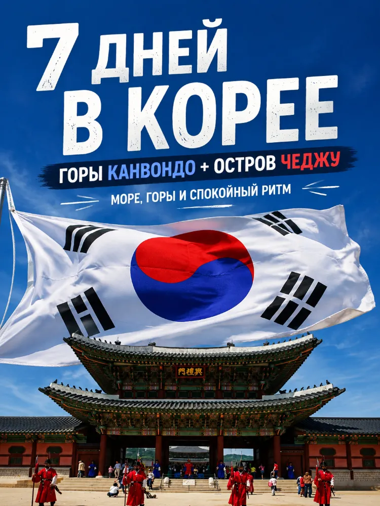 서울을 넘어: 진짜 한국에서의 7일 。