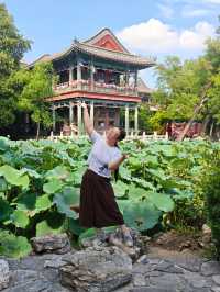 保定美景“蓮漪夏艷”:古蓮花池