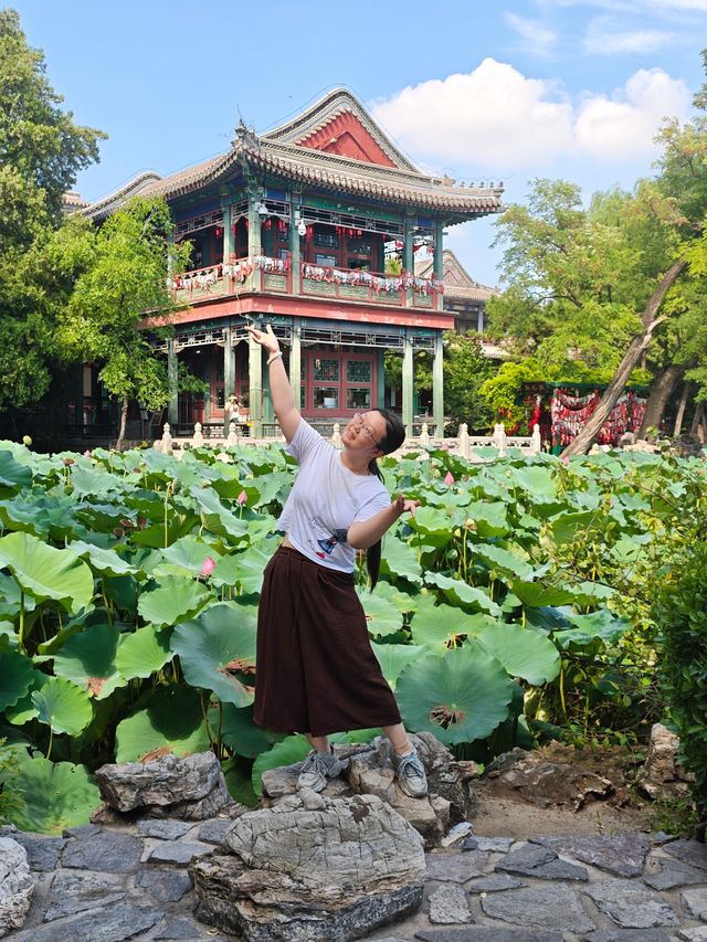保定美景“蓮漪夏艷”:古蓮花池