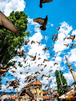 10-day visa-free multi-country trip guide for a spontaneous and amazing experience