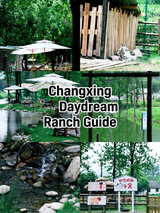 Dreamland Ranch babysitter-level guide｜stream tracing + cute animals + mini train, a full day of relaxed fun with kids