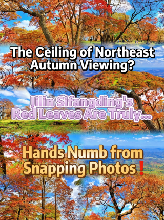 The ultimate spot for autumn leaves in Northeast China? The red leaves at Sifangding in Jilin will leave your hands numb from taking photos