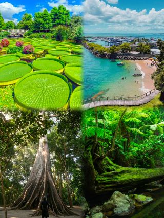 ブラジル個人旅行｜アドバイス！初心者は絶対に盲目的なツアー参加は避けて！