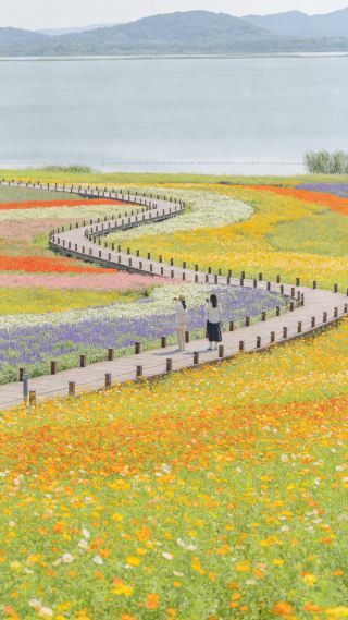 Zhejiang Lanhu Tourist Resort | A complete guide to lake views, tea gardens, flower fields, and family time