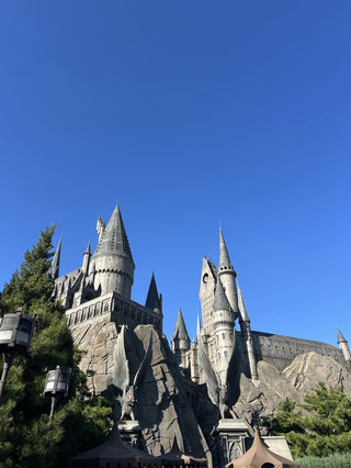 Universal Beijing - наш отзыв и советы 🎢

Были в парке с мужем и хотим поделиться тем, что узнали на собственном опыте.

Главный совет - обязательно смотрите рекомендации других, но в итоге составляйте свой маршрут заранее изучив карту парка в приложении Universal Beijing Resort. Там есть:
· расписание шоу;
· время появления персонажей;
· карта;
· информация об аттракционах и очередях.

Так вы сможете заранее понять, что действительно хотите посмотреть, и не потратить полдня на хаотичное хождение по парку.

🎟️ Если хотите успеть больше - советуем брать Pass.
Это действительно рабочее решение. На самых популярных аттракционах обычная очередь может занимать несколько часов. Например, на Harry Potter and the Forbidden Journey мы стояли около 3 часов. У обладателей Pass есть отдельная очередь, поэтому они проходят значительно быстрее.

⏰ Ещё лучше - выбрать отель, который предоставляет ранний вход в парк. Если у вас есть такая возможность, сразу отправляйтесь на самые популярные аттракционы.

Что советуем посетить:

🪄 Harry Potter and the Forbidden Journey - однозначно в топе.

🦖 Jurassic World Adventure - тоже обязательно.
И внимательно смотрите название аттракциона! Мы случайно сначала пошли на горку Jurassic World, а не на Adventure — пока разобрались, на Adventure уже успела вырасти очередь.

🤖 Decepticoaster - горка крутая, но аттракцион довольно динамичный. Если вас укачивает или вы только что плотно поели - лучше оставить его на потом 😅

🐼 Kung Fu Panda: Land of Awesomeness — сама зона очень атмосферная. Можно заглянуть на Kung Fu Panda: Journey of the Dragon Warrior. Зона довольно тёмная, имейте это в виду. На карусель мы не стали ждать очередь - она показалась нам не настолько интересной, чтобы тратить время.

👻 Halloween / зоны ужасов — обязательно оставьте время на вечер! После 17:00 парк превращается совсем в другое место. Нам очень понравилось - однозначно стоит посетить.

👧 Детскую зону тоже советуем не пропускать, даже если вы без детей. Там можно встретить Миньонов, а ещё есть шоу «Зверопой». Расписание выступлений и встречи с героями смотрите заранее в приложении.

🍜 Где пообедать:

Нам понравился Mr. Ping’s Noodle House в зоне «Кунг-фу Панда». Хороший вариант, чтобы сделать паузу и нормально пообедать.

Если коротко, наш маршрут при наличии Pass или раннего входа:

1. 🪄 Harry Potter and the Forbidden Journey
2. 🦖 Jurassic World Adventure
3. 🤖 Decepticoaster (Transformers)
4. 🐼 Зона Kung Fu Panda
5. 🍜 Обед в Mr. Ping’s Noodle House
6. 👧 Детская зона + «Зверопой»
7. 👻 После 17:00 — Halloween-зоны

Universal Beijing нам очень понравился ❤️ Но главное - не пытайтесь успеть абсолютно всё. Лучше заранее выбрать свои must-see, а остальное смотреть уже по ситуации.

И да - Pass или ранний вход действительно могут сильно изменить впечатления от посещения. 

 #beijing #universal #universalbeijing 