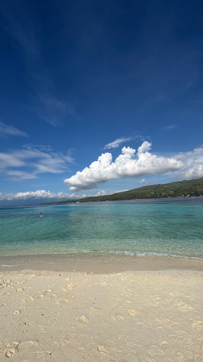 Amazing Whale Shark, Sumilon Island, and Tumalog Falls Tour!