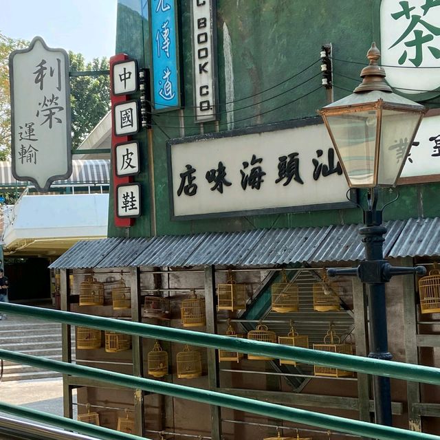 原來可以帶狗狗遊海洋公園!