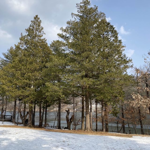 韓國南怡島❄️❄️