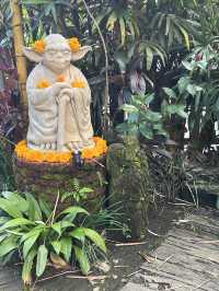 The Yoda, oops, YOGA Barn in Ubud is Amazing