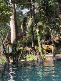 숲속의 인피니티 풀 전세내기 발리 Dtukad River Club