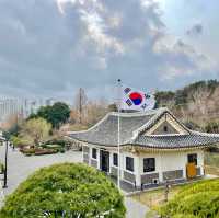 부산 동래 충렬사 ! 매화가 아름다운곳 숨은매화명소 🌸