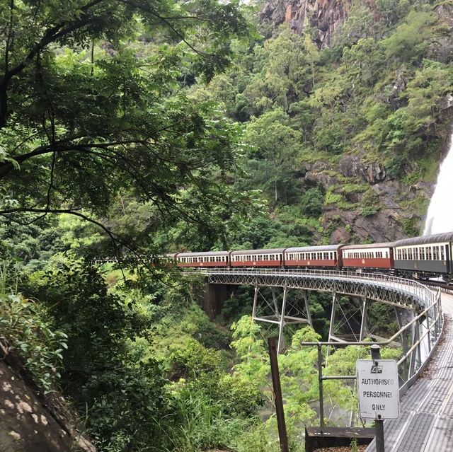 【ケアンズ おすすめ】キュランダ 高原鉄道