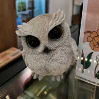 布丁燒專門店 ～ 小確幸🦉