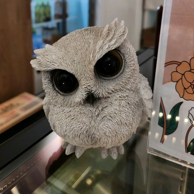 布丁燒專門店 ～ 小確幸🦉