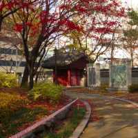 Tapgol Park