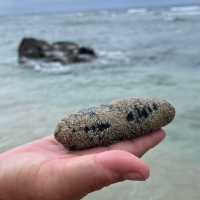 小琉球潮間帶生態區