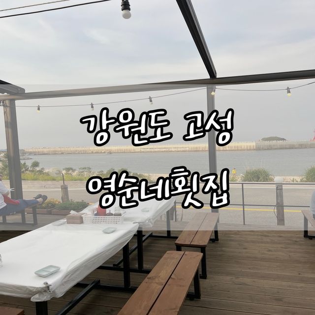 강원도 고성 봉포해변 영순네횟집