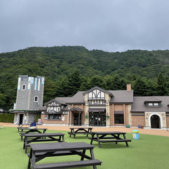 【ペットとお出かけ】富士本栖湖リゾートで過ごす！