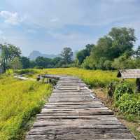 ชี้เป้าถ่ายรูป ฮีลใจ ถ้าไปลพบุรีห้ามพลาด