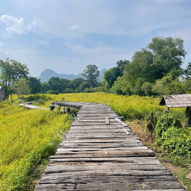 ชี้เป้าถ่ายรูป ฮีลใจ ถ้าไปลพบุรีห้ามพลาด