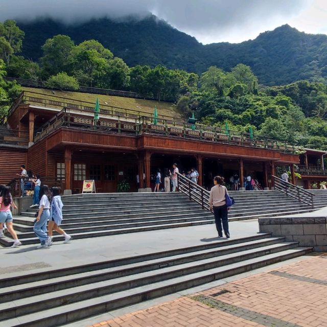 Suspension Bridge and Exhibitions