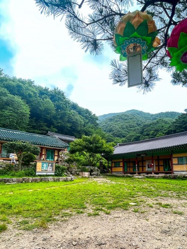 장마철 등산으로 리플레쉬하기🌿 모악산 등반⛰️