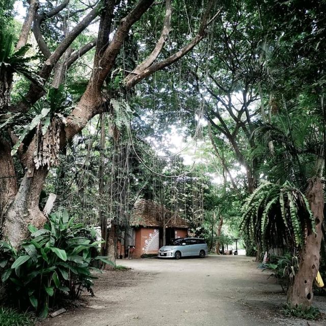 🏕ที่สุดของการอยู่ท่ามกลางธรรมชาติ ปันนาบุรี รีสอร์ท