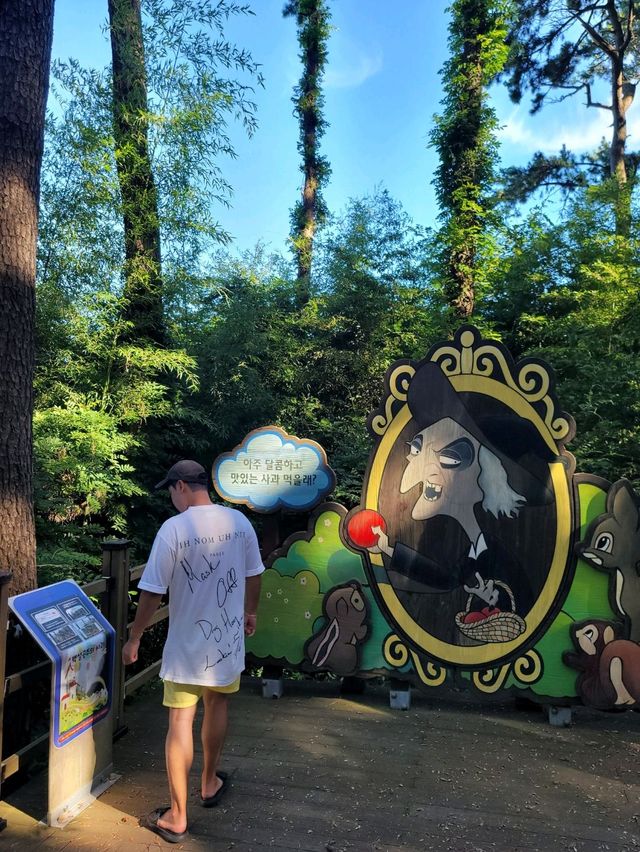 바다아닌 숲속에서 힐링하는 간절곶공원🌲