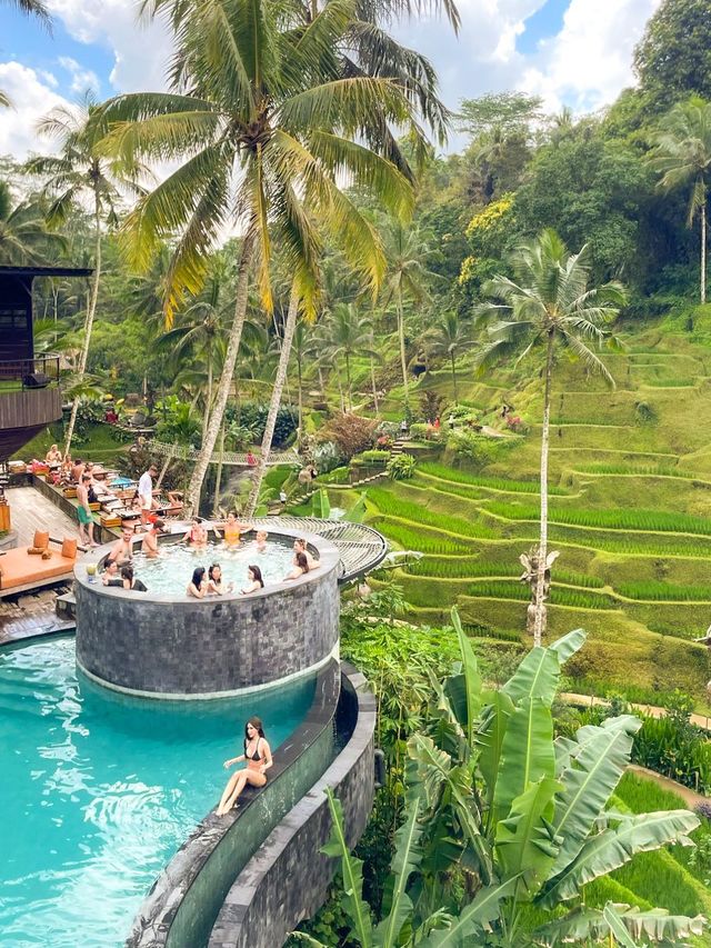 Breathtaking Rice Terraces & Bali Swing