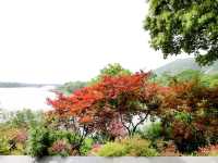 無錫蠡湖公園🏞結合傳統園林與歐式公園風格
