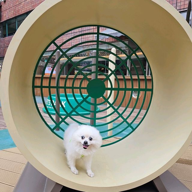 帶毛孩放電購物好地方🐶🦮🐕‍🦺🐕🐩