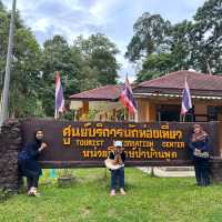 มาเที่ยวธรรมชาติที่น้ำตกไพรวัลย์ พัทลุง