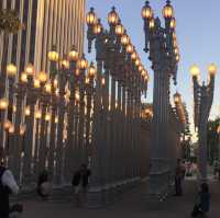 la현대미술관🎨 LACMA, Urban Light