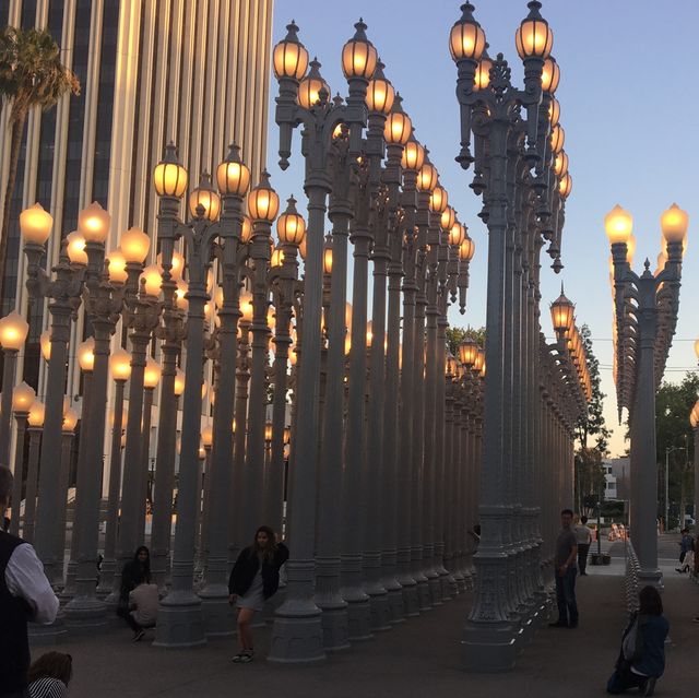 la현대미술관🎨 LACMA, Urban Light